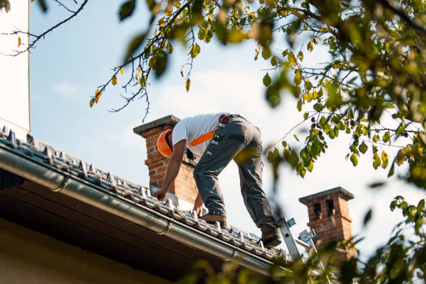 Best Flat Roof Repair Services  in Woodside, PA