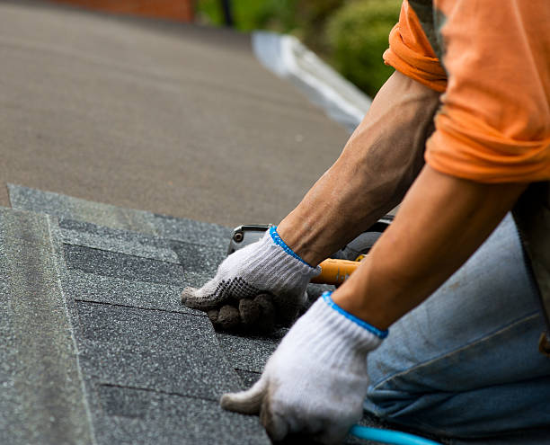 Best Roof Gutter Cleaning  in Woodside, PA